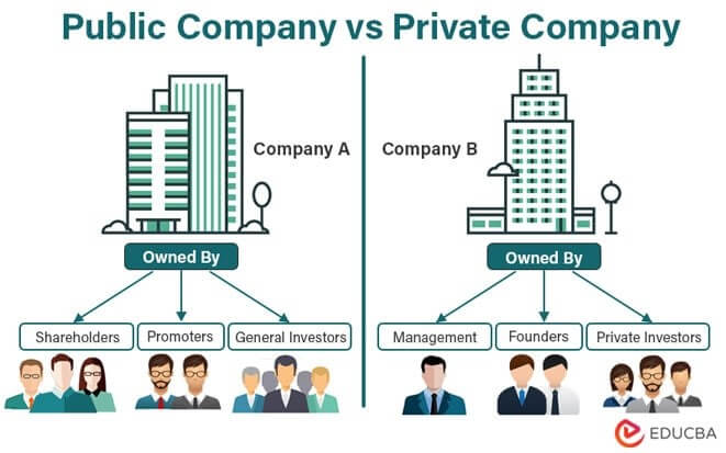 Private vs. Public Company: Ein Überblick